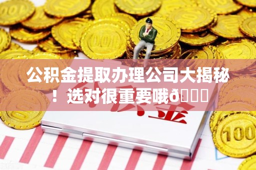 三元公积金提取办理公司大揭秘！选对很重要哦😎