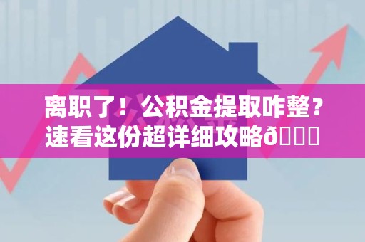 三元离职了！公积金提取咋整？速看这份超详细攻略😎